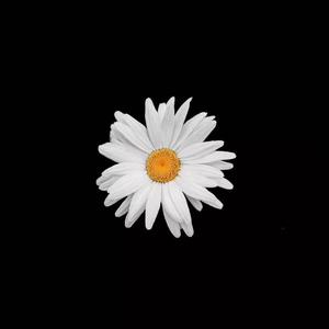 美女老师被我操 91
